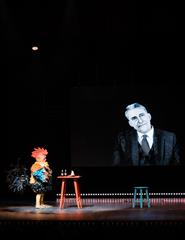 CANTAR DE GALO, MALA VOADORA