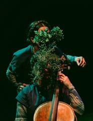 Ocelo, de Daniela Cruz