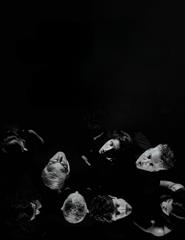 Que Voz de Liberdade é Essa? - Um Canto a Sérgio Godinho | Canto Nono