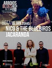 ABW - NICO & THE BLUEBIRDS +.JACARANDÁ