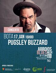 ABW - PUGSLEY BUZZARD