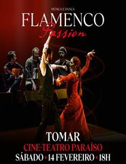 Flamenco Passion