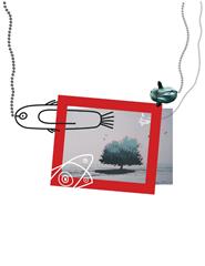 Se os peixes falassem | Co.N125 - Companhia Nacional 125