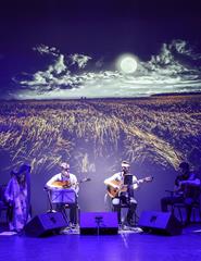 An Irish Celtic Night