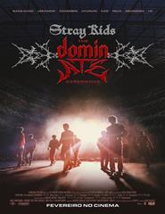 Stray Kids: The dominATE Experience