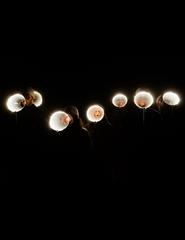 Santa Joana dos Matadouros | Teatro da Didascália