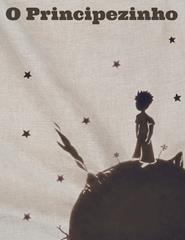 Música | O PRINCIPEZINHO _ CCR