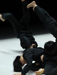 DDD 2026 / TAO Dance Theater / 16 & 17