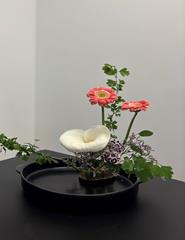 IKEBANA PARA CELEBRAR O VERÃO