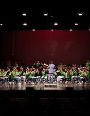 Música |  IV ESTÁGIO DE ORQUESTRA DE SOPROS _ BCI