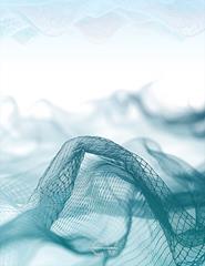 MARÉ, Companhia Vareira