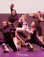 Entre gatos e bonecos :: Academia Lampadinha