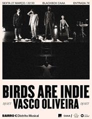 BIRDS ARE INDIE + Vasco Oliveira dj set