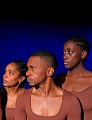 OS TRANSPARENTES | COMPANHIA CEGADA