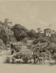 CAMINHOS DO ROMÂNTICO - CARLOS ALBERTO E OS VIZINHOS