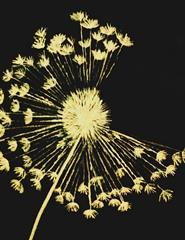 OFICINA SCRATCHBOARD com MASATAKA KUROYANAGI