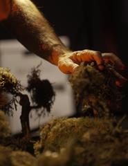 Terra de Fogo | Hotel Europa