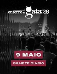 ENTERRO DA GATA 2026 - 9 MAIO - QUATRO E MEIA