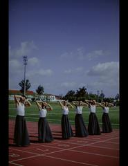 A Luminosa Violência da Perfeição