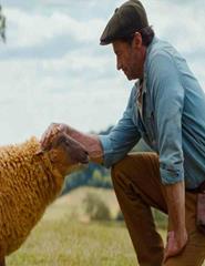 As Ovelhas Detetives