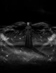 A LUMINOSA VIOLÊNCIA DA PERFEIÇÃO, de Daniel Matos