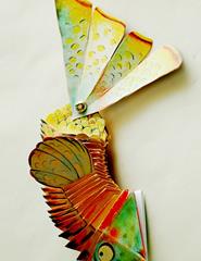 CONTRA A CORRENTE… NADAR! NADAR| A AVENTURA DA KOI, A CARPA JAPONESA