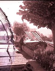 DERIVA #60 - DO JARDIM DA CORDOARIA AO JARDIM DAS VIRTUDES