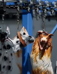 Estas obras MAATam-me!