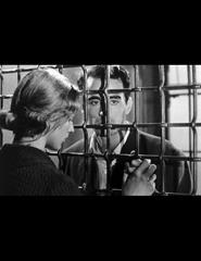 O Carteirista | Sessão Especial - Rúbrica "Lugar ao Clássico"