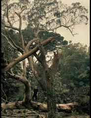 Até ao fim do mundo