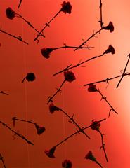 Novos Tempos para a Liberdade