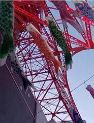 KODOMO NO HI| A FESTA DAS CRIANÇAS NO JAPÃO| Visita orientada Temática