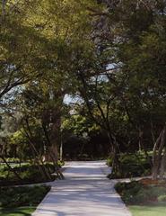 Botanical Walk | Passeio botânico