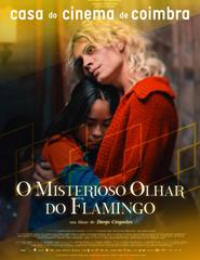 O Misterioso Olhar do Flamingo