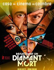 Reflexo Num Diamante Morto