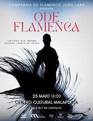 Ode Flamenca - Companhia de Flamenco João Lara