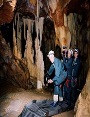 MOCA - THE CAVE OF FORGOTTEN DREAMS, WERNER HERZOG - CURTA
