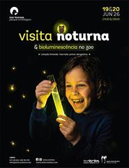 VISITA NOTURNA & BIOLUMINESCÊNCIA - A luz dos pirilampos