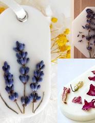 Oficina AROMATIZADORES BOTÂNICOS - Celebrar e Conectar com a Natureza