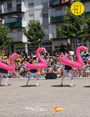Quantos flamingos são precisos p/ fazer uma festa? :: Coração nas Mãos
