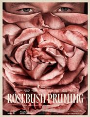 Rosebush Pruning