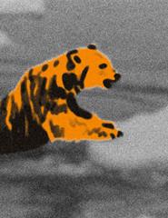 Competição de Vídeos Musicais | Curtas Vila do Conde 2026