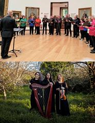 Música | CONCERTOS IMPROVÁVEIS