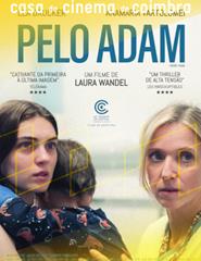 cartaz