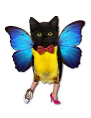 Quimera
