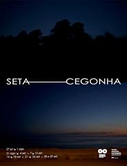 Seta - Cegonha | Guimarães
