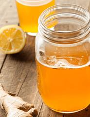 Kombucha Workshop | Oficina de Kombucha