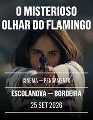 O MISTERIOSO OLHAR DO FLAMINGO (Escola Nova)