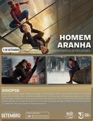 Homem Aranha