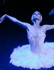 Dança | O LAGO DOS CISNES _ Imperial Heritage Ballet